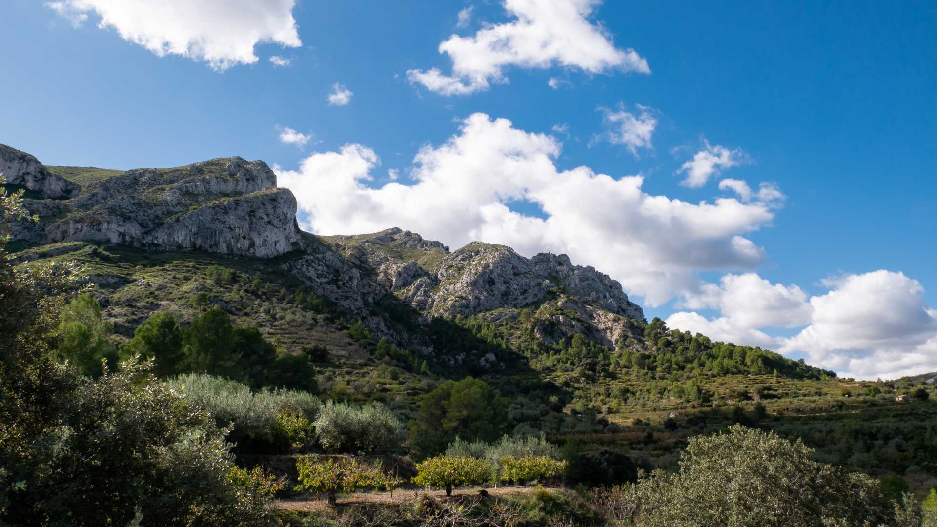 Foto vall